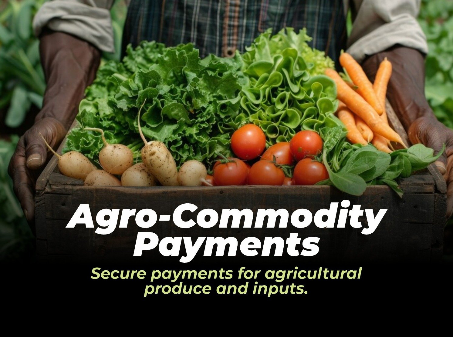 Farmers receiving digital payments